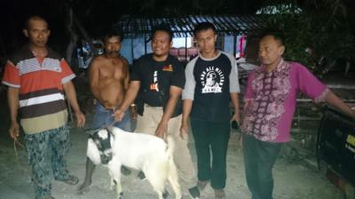 Gambar banner Qurban di pelosok