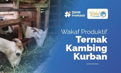 Gambar banner Wakaf Ternak Hewan Kambing
