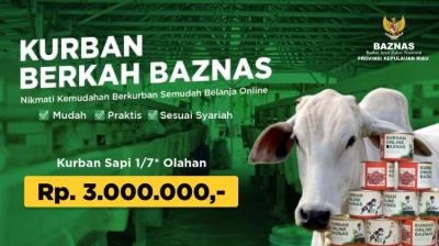 Gambar banner KURBAN SAPI OLAHAN 1 PER 7 - 35 KALENG