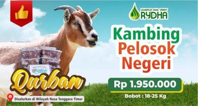 Gambar banner Kambing Pelosok Negeri