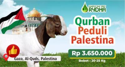 Gambar banner Qurban Peduli Palestina