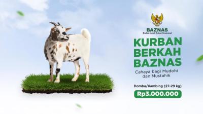 Gambar banner Kurban Domba-Kambing BAZNAS