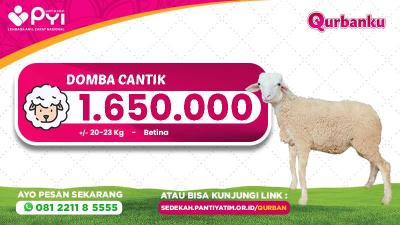 Gambar banner Qurban Domba Cantik