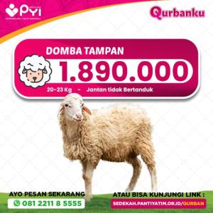 Gambar banner Qurban Domba Tampan
