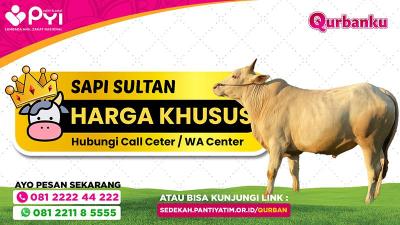 Gambar banner Qurban Sapi Berkah Paket Sultan