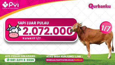 Gambar banner Qurban Sapi Luar Pulau Patungan