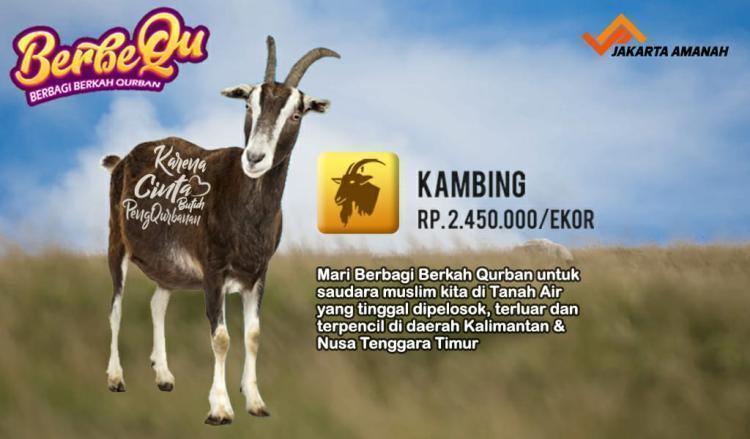 Gambar banner Qurban Kambing Gambar banner Qurban Kambing