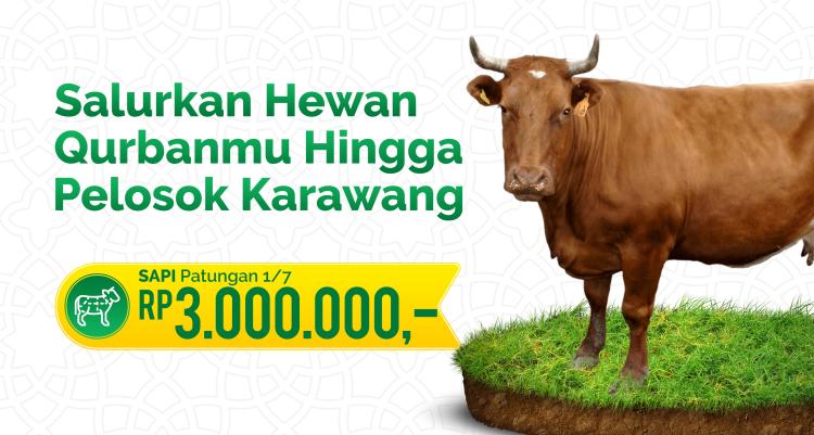Gambar banner Qurban Village Dari Kampung Untuk Kampung - Sapi Patungan Lokal