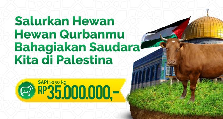 Gambar banner Qurban Village Dari Kampung Untuk Kampung - Sapi B 250 kg Palestina Gambar banner Qurban Village Dari Kampung Untuk Kampung - Sapi B 250 kg Palestina