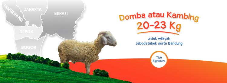 Gambar banner Domba Kambing Signature 20-23kg