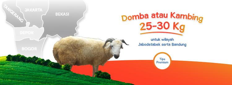 Gambar banner Domba Kambing 25-30kg Premium Jabodetabek Bandung