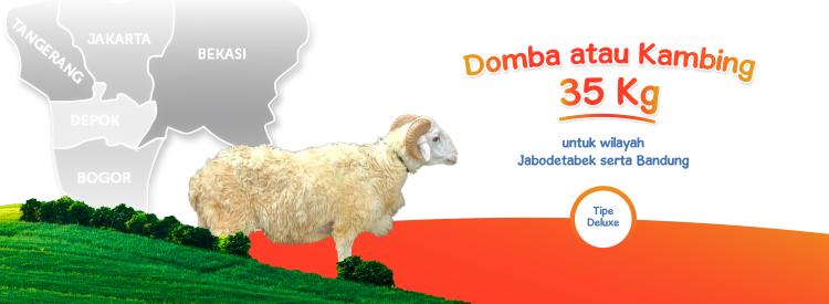 Gambar banner Domba Kambing 35kg Deluxe Jabodetabek Bandung