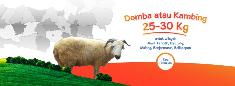 Gambar banner Domba Kambing Premium 25-30kg