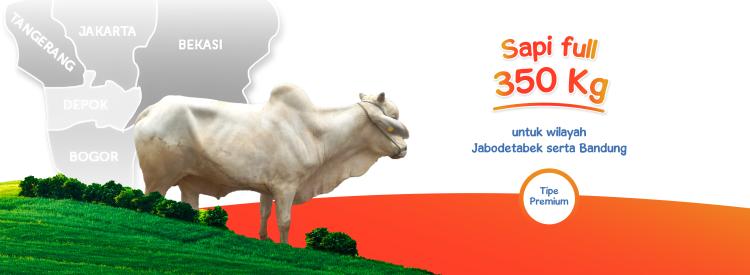 Gambar banner Sapi Full 350kg Premium Jabodetabek Bandung