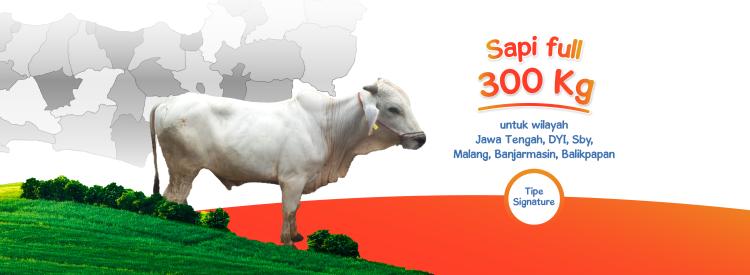 Banner program Sapi Full Signature