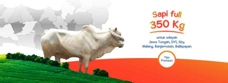 Gambar banner Sapi Full 350kg Premium Jawa Tengah, DYI, Sby, Malang, Banjarmasin, Balikpapan
