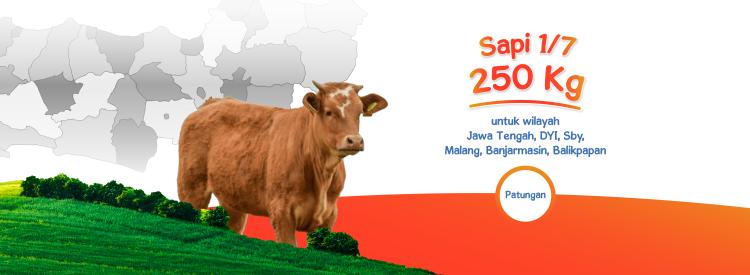 Gambar banner Sapi Patungan 1-7 untuk Palestina