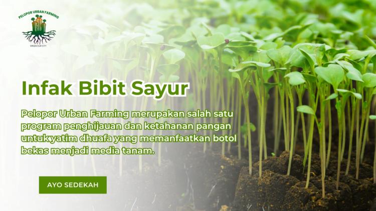 Banner program Infak Bibit mulai 10.000 Untuk Santri Penghafal Al Quran