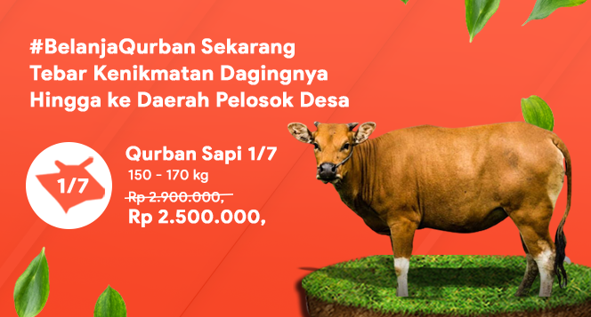 Banner program Belanja Qurban untuk Keluarga Lansia Dhuafa Pelosok Negeri