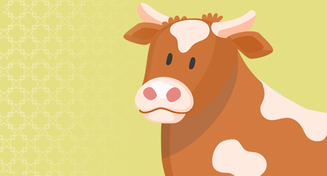 Banner program Qurban Sapi