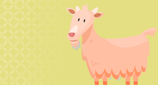 Banner program Qurban Kambing