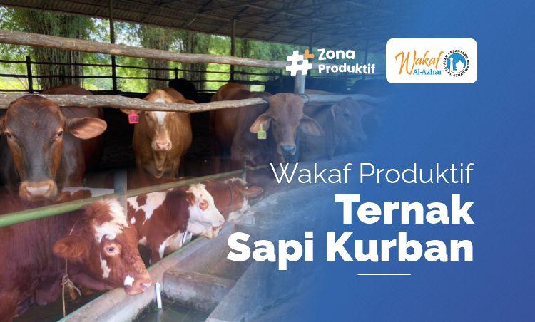 Banner program Wakaf Ternak Hewan Sapi