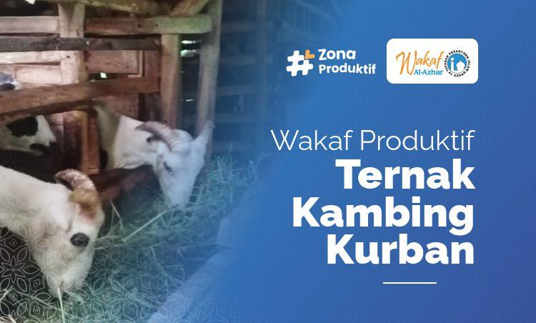 Banner program Wakaf Ternak Hewan Kambing