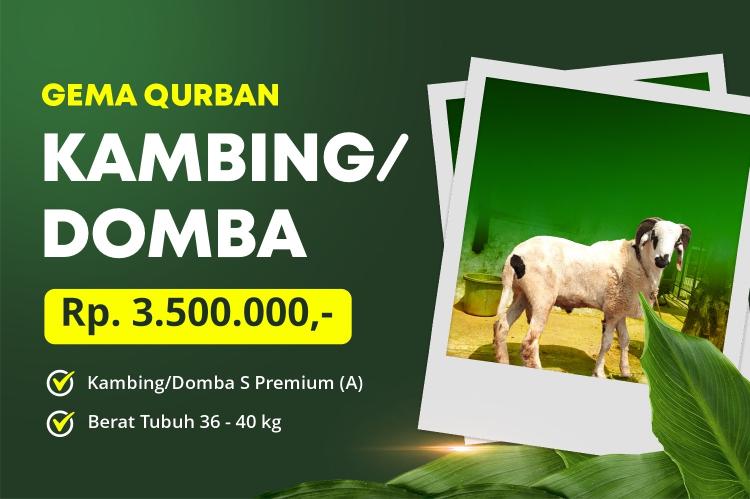 Gambar banner QURBAN PEDULI DUAFA TIPE A 36-40 KG