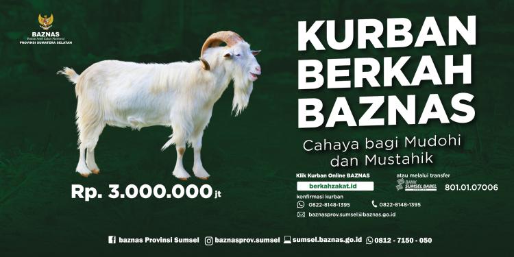 Gambar banner KURBAN DOMBA-KAMBING BAZNAS Gambar banner KURBAN DOMBA-KAMBING BAZNAS