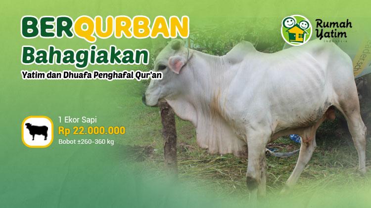 Gambar banner QURBAN 1 EKOR SAPI - RUMAH YATIM INDONESIA Gambar banner QURBAN 1 EKOR SAPI - RUMAH YATIM INDONESIA