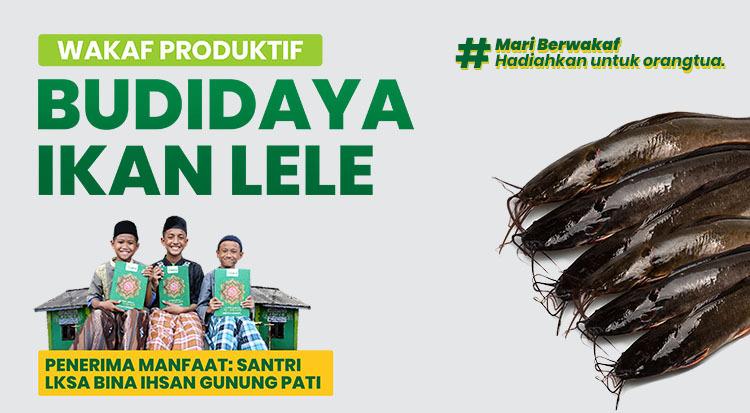 Gambar banner Mari Berwakaf Hadiahkan untuk Orang Tua Gambar banner Mari Berwakaf Hadiahkan untuk Orang Tua
