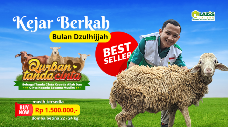 Gambar banner DOMBA BETINA 22 - 24 KG