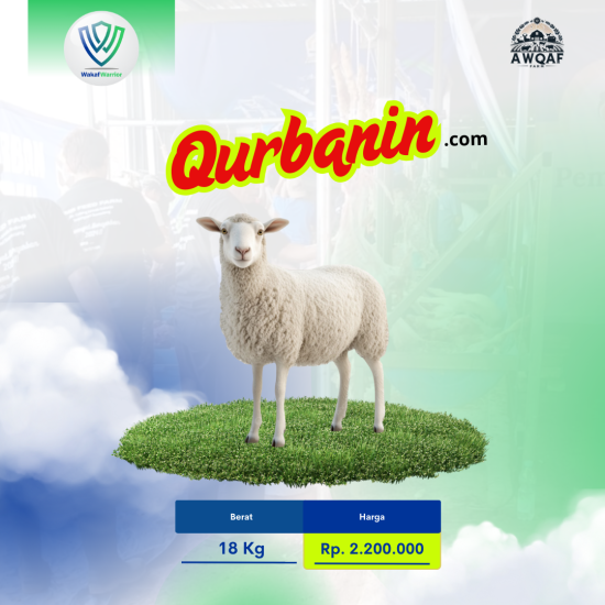Banner program Qurban Domba  18 Kg