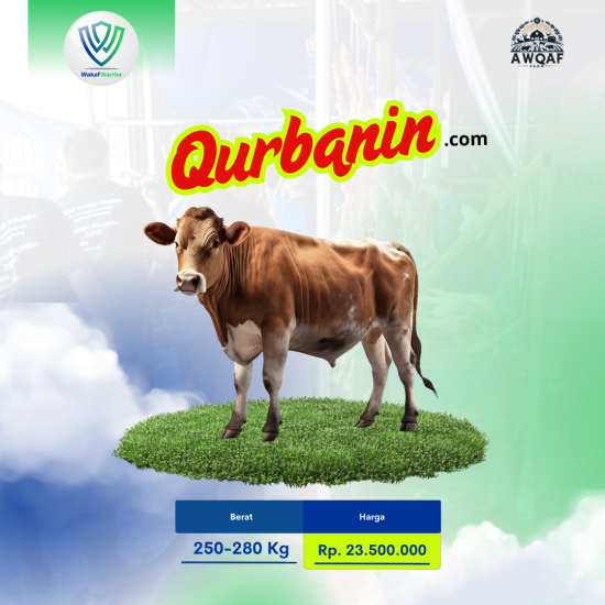 Banner program Qurban Sapi Bali