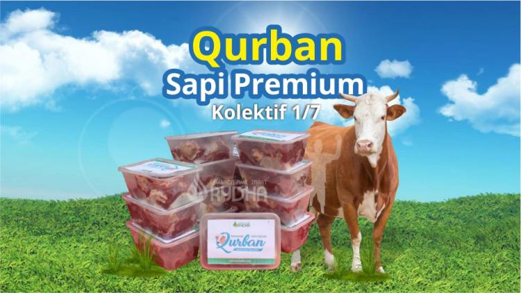 Gambar banner Qurban Sapi Premium Kolektif 