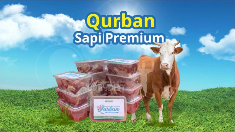 Gambar banner Qurban Sapi Premium