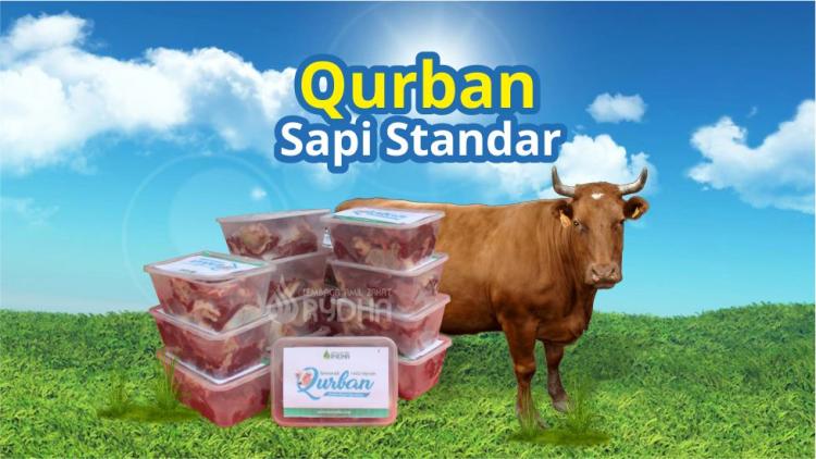 Gambar banner Qurban Sapi Standar