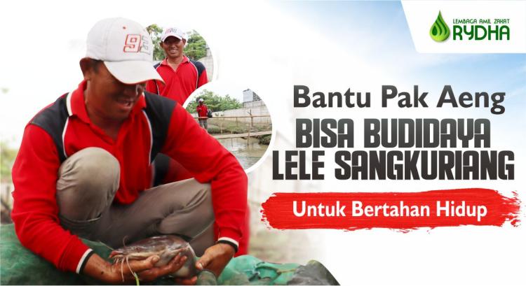 Gambar banner Bantu Pak Aeng Bisa Budidaya Lele Sangkuriang untuk Bertahan Hidup
