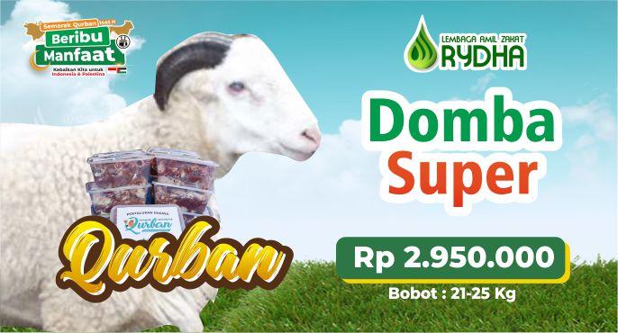 Gambar banner Qurban Domba atau Kambing Super