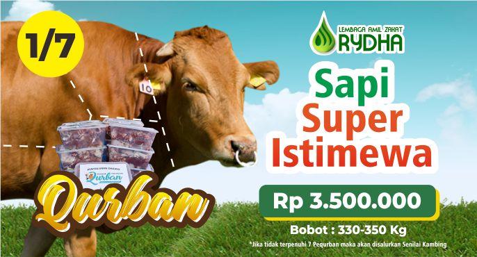Banner program Qurban Kolektif Sapi Super Istimewa
