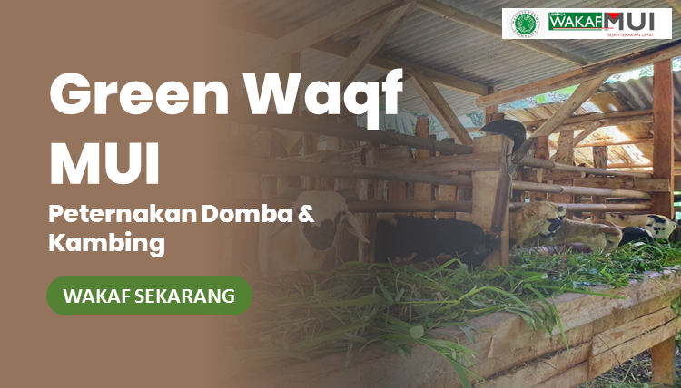 Banner program GREEN WAKAF MUI PETERNAKAN DOMBA  KAMBING