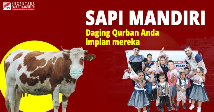 Gambar banner Qurban Sapi Palestina