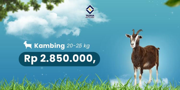 Banner program Qurban kambing Untuk Pelosok Negeri