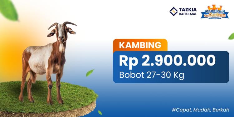 Banner program Kebaikan BerQurban kambing Premium