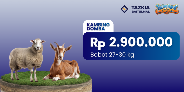 Banner program Kebaikan BerQurban domba dan kambing Bobot 27-30 kg