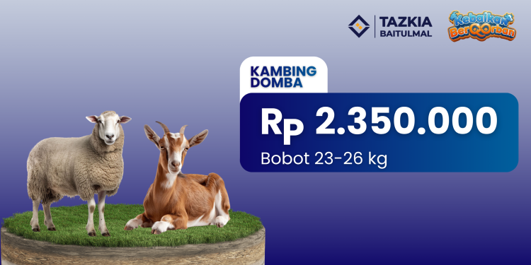 Gambar banner Kebaikan BerQurban Domba dan kambing bobot 23 - 26 kg