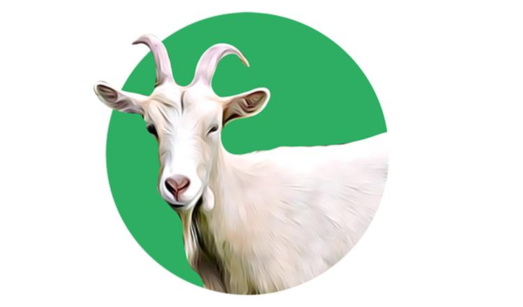 Gambar banner Qurban untuk Yatim di Pelosok Lombok