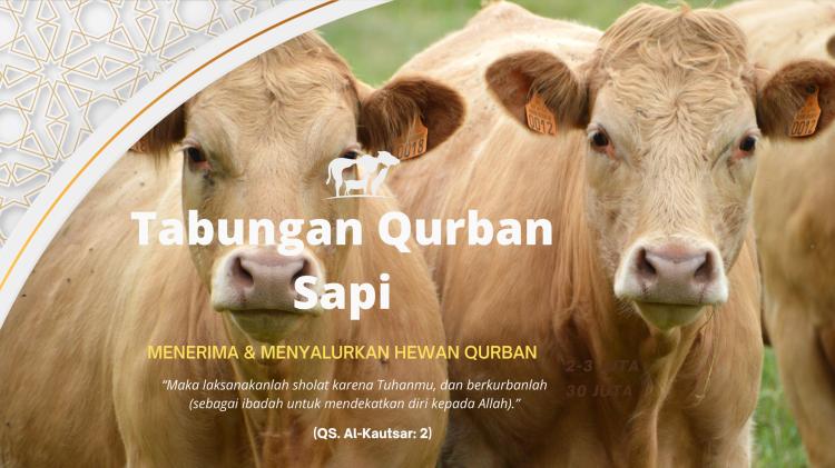 Gambar banner Tabungan Qurban Sapi