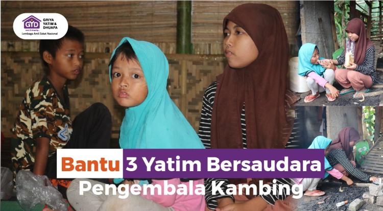 Gambar banner Bantu 3 Yatim Bersaudara Pengembala Kambing Gambar banner Bantu 3 Yatim Bersaudara Pengembala Kambing