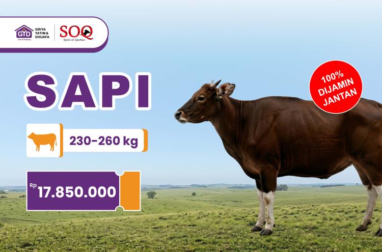 Banner program Spirit Qurban Sapi
